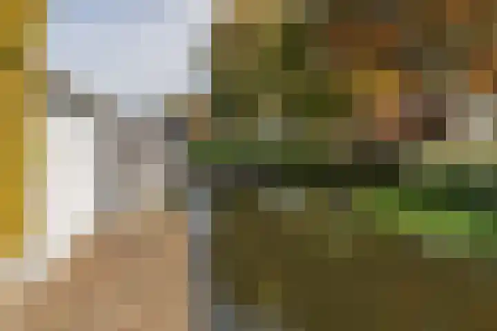 Brittenhuis 64 Noordwijkerhout thumbnail 34
