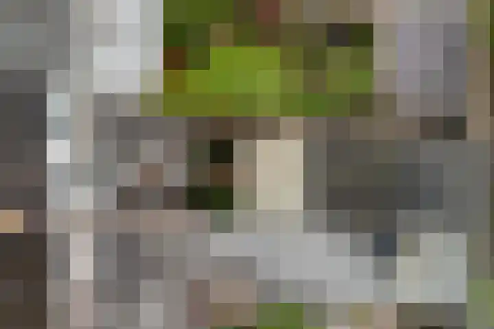 Brittenruststraat 19 Alphen aan den Rijn thumbnail 30