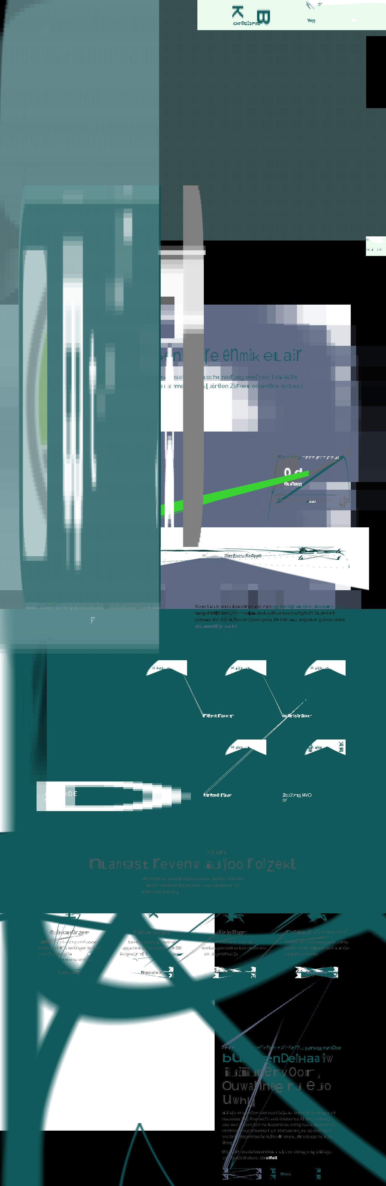 Screenshot of the website of www.brixmakelaars.nl