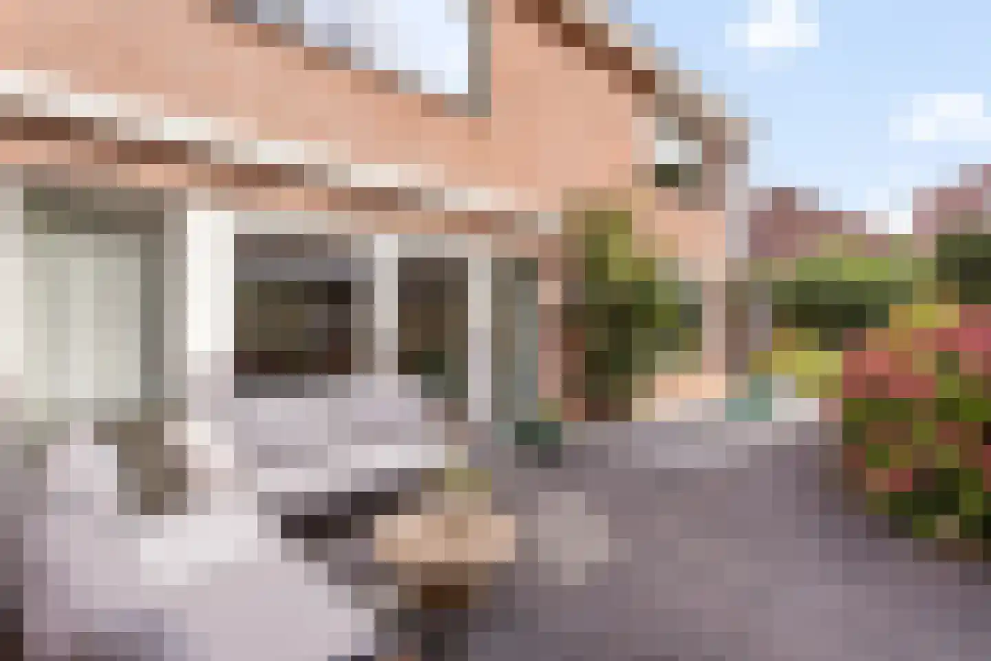 Broderie 20 Almelo thumbnail 21