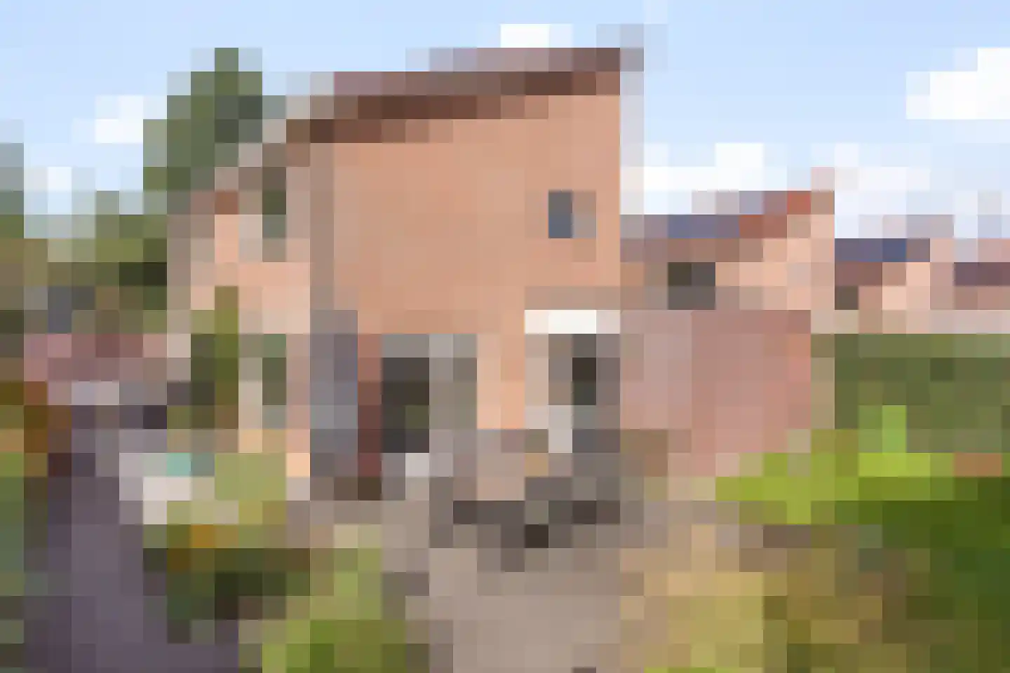 Broderie 20 Almelo thumbnail 5