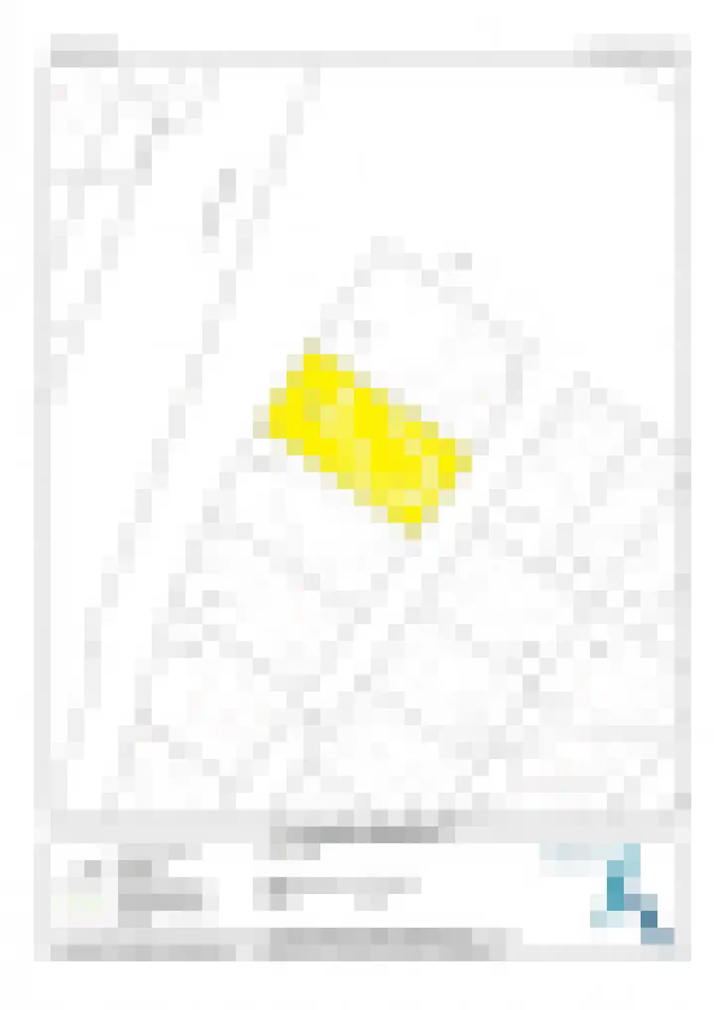 Broderie 5 Almelo thumbnail 43