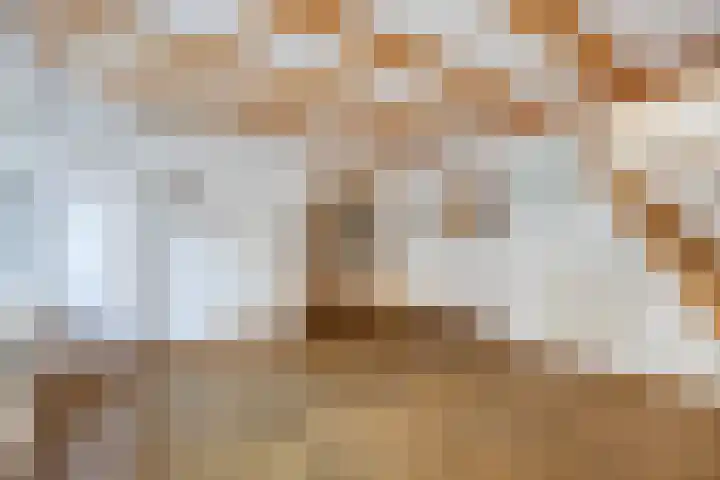 Broeckerstraat 5 Oudewater foto 3