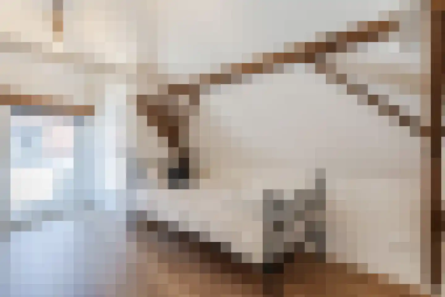 Broeckerstraat 6 Oudewater thumbnail 33