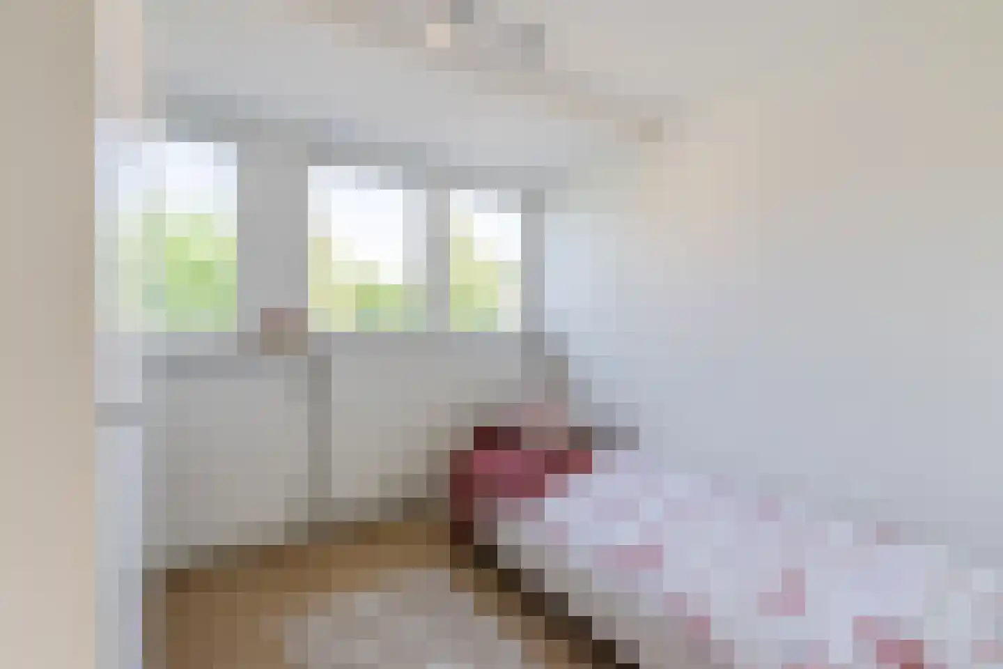 Broeckerstraat 6 Oudewater thumbnail 39