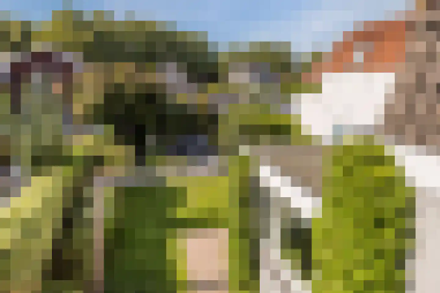 Broeckerstraat 6 Oudewater thumbnail 50