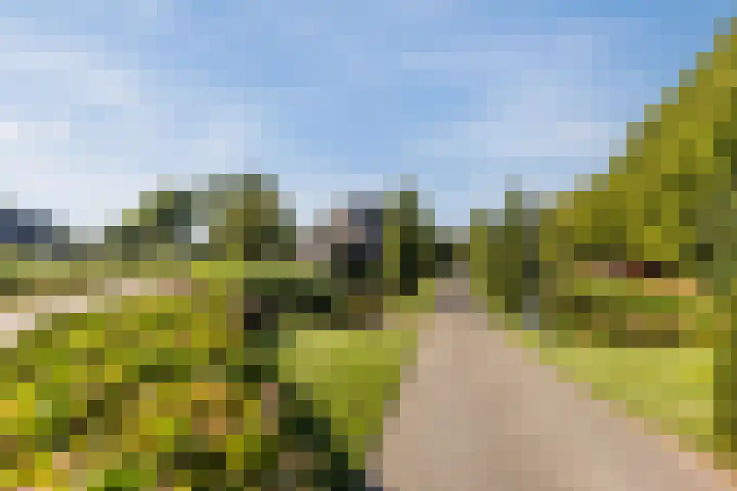 Broeckerstraat 6 Oudewater thumbnail 69