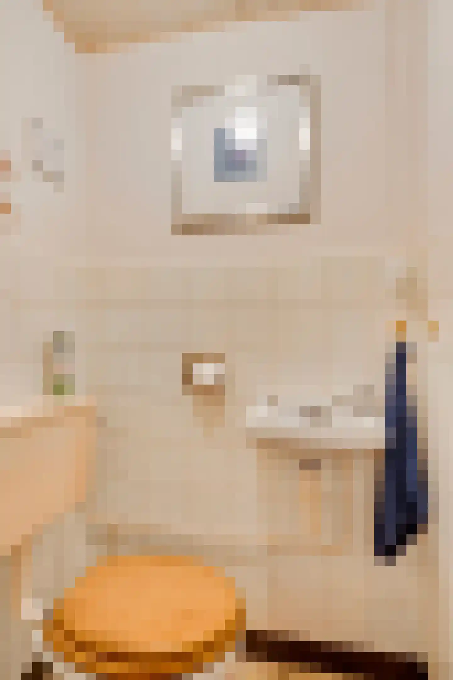 Broeckmeulenstraat 8 Thorn thumbnail 10