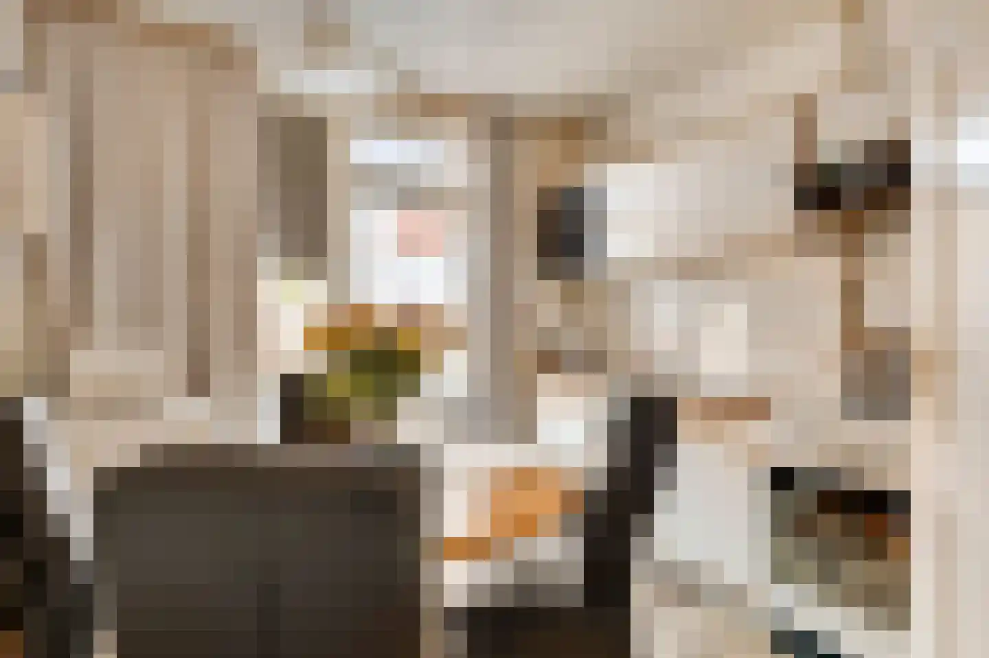 Broeckmeulenstraat 8 Thorn thumbnail 16