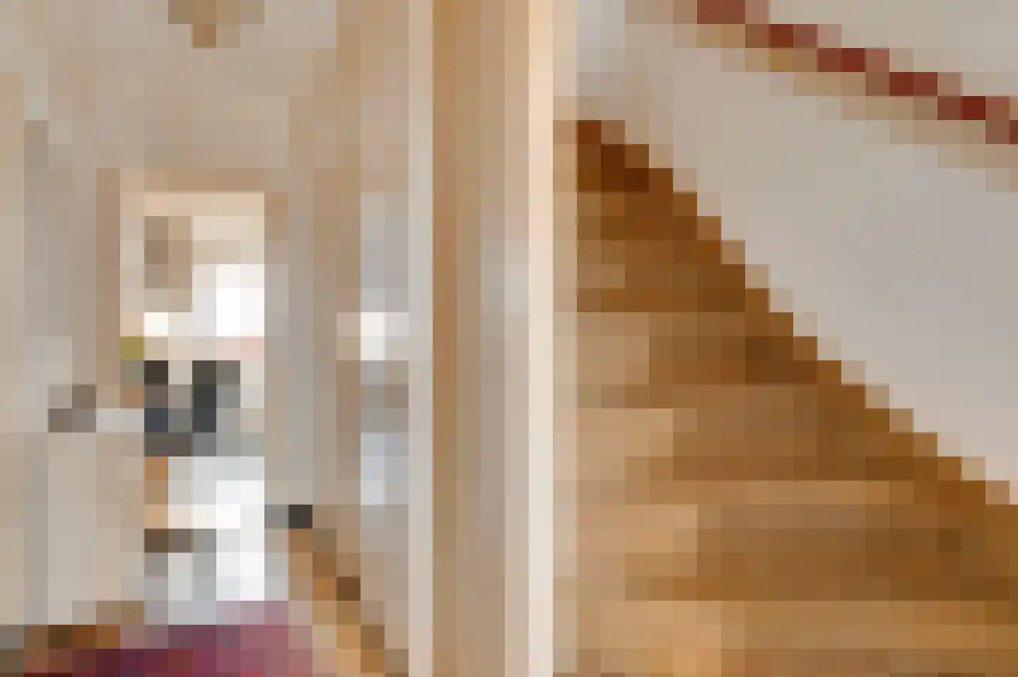 Broeckmeulenstraat 8 Thorn thumbnail 7