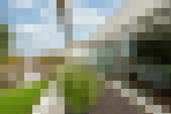 Broeder Alarmstraat 113 Utrecht thumbnail 4