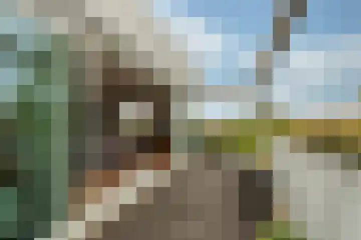 Broeder Alarmstraat 113 Utrecht thumbnail 8