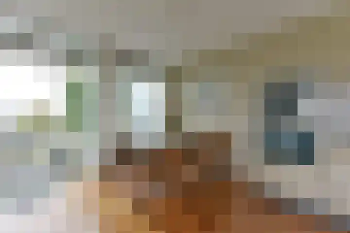 Broeder Alarmstraat 113 Utrecht thumbnail 9