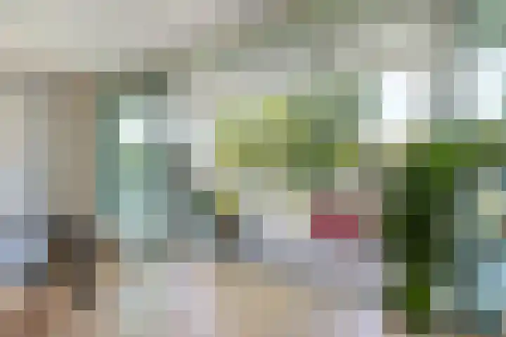Broeder Alarmstraat 87 Utrecht thumbnail 15