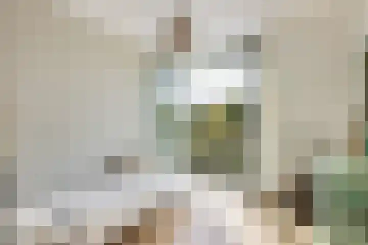 Broeder Alarmstraat 87 Utrecht thumbnail 32