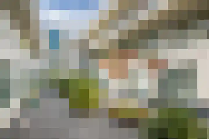 Broeder Alarmstraat 87 Utrecht thumbnail 37