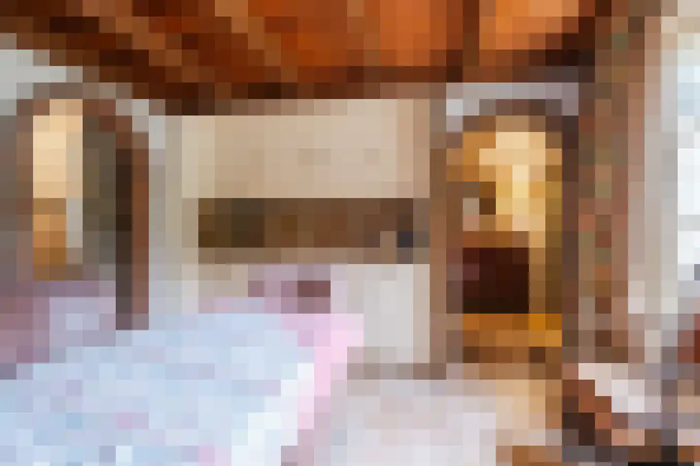 Broeder Hogardstraat 1 a Boekel thumbnail 13
