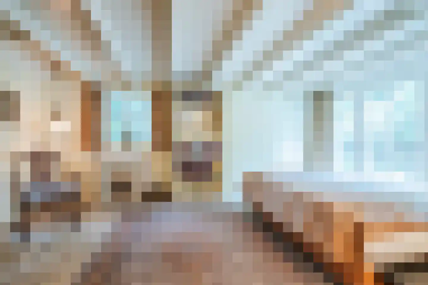 Broeder Hogardstraat 1 a Boekel thumbnail 18