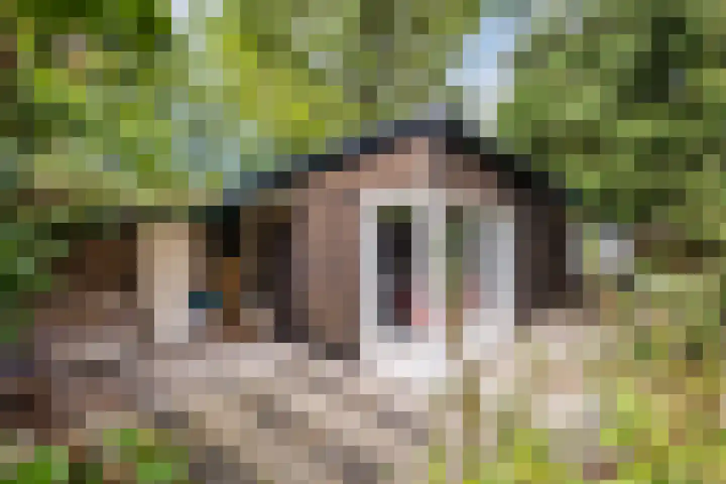 Broeder Hogardstraat 1 a Boekel thumbnail 20