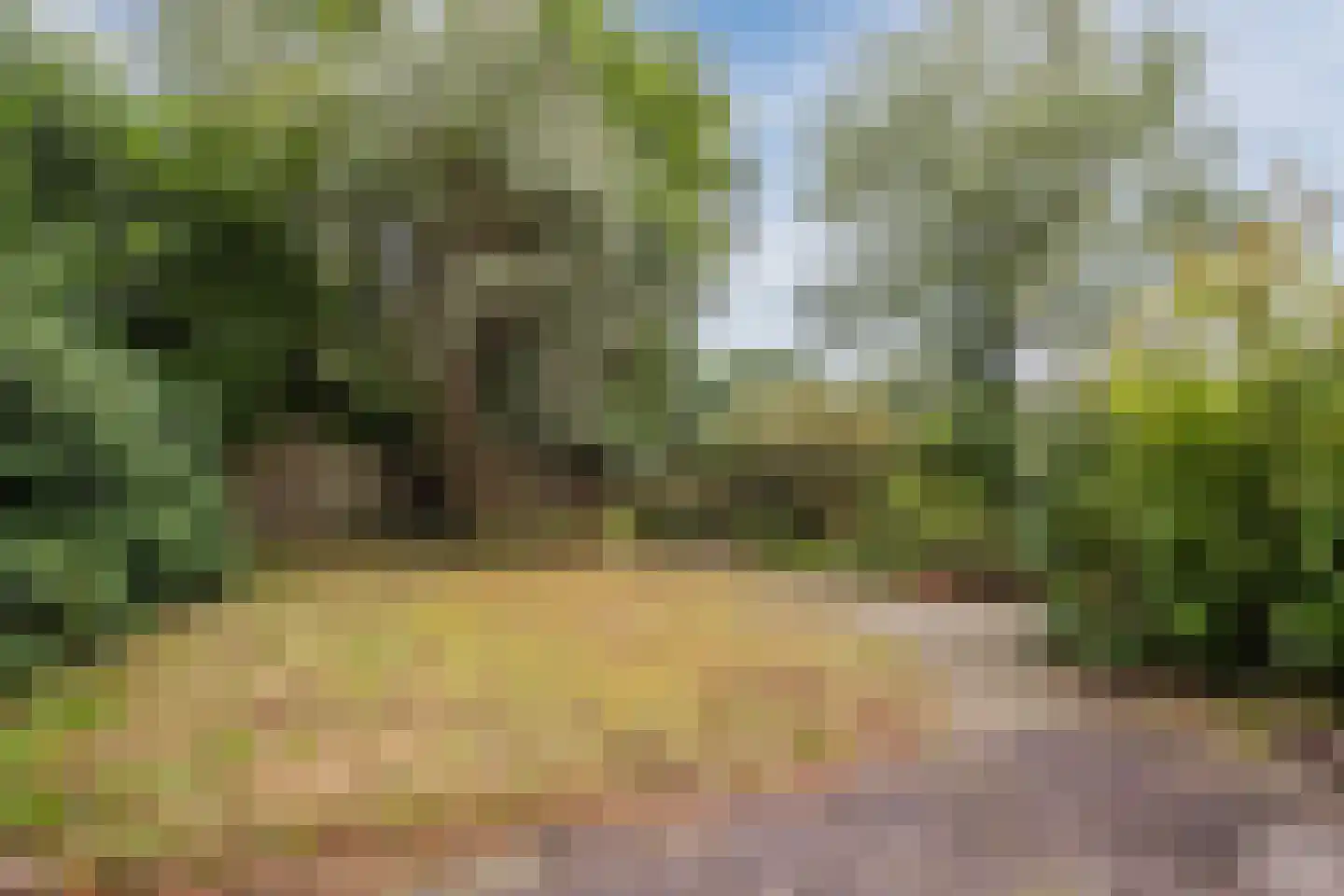 Broeder Hogardstraat 1 a Boekel thumbnail 23