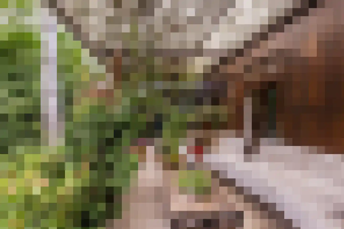 Broeder Hogardstraat 1 a Boekel thumbnail 24