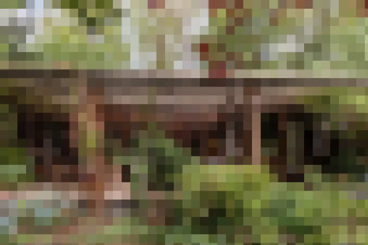 Broeder Hogardstraat 1 a Boekel thumbnail 26