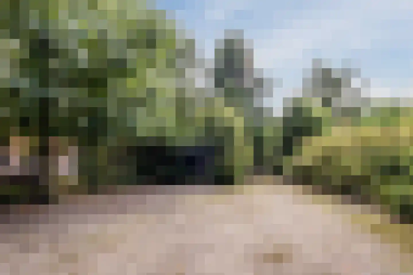 Broeder Hogardstraat 1 a Boekel thumbnail 27