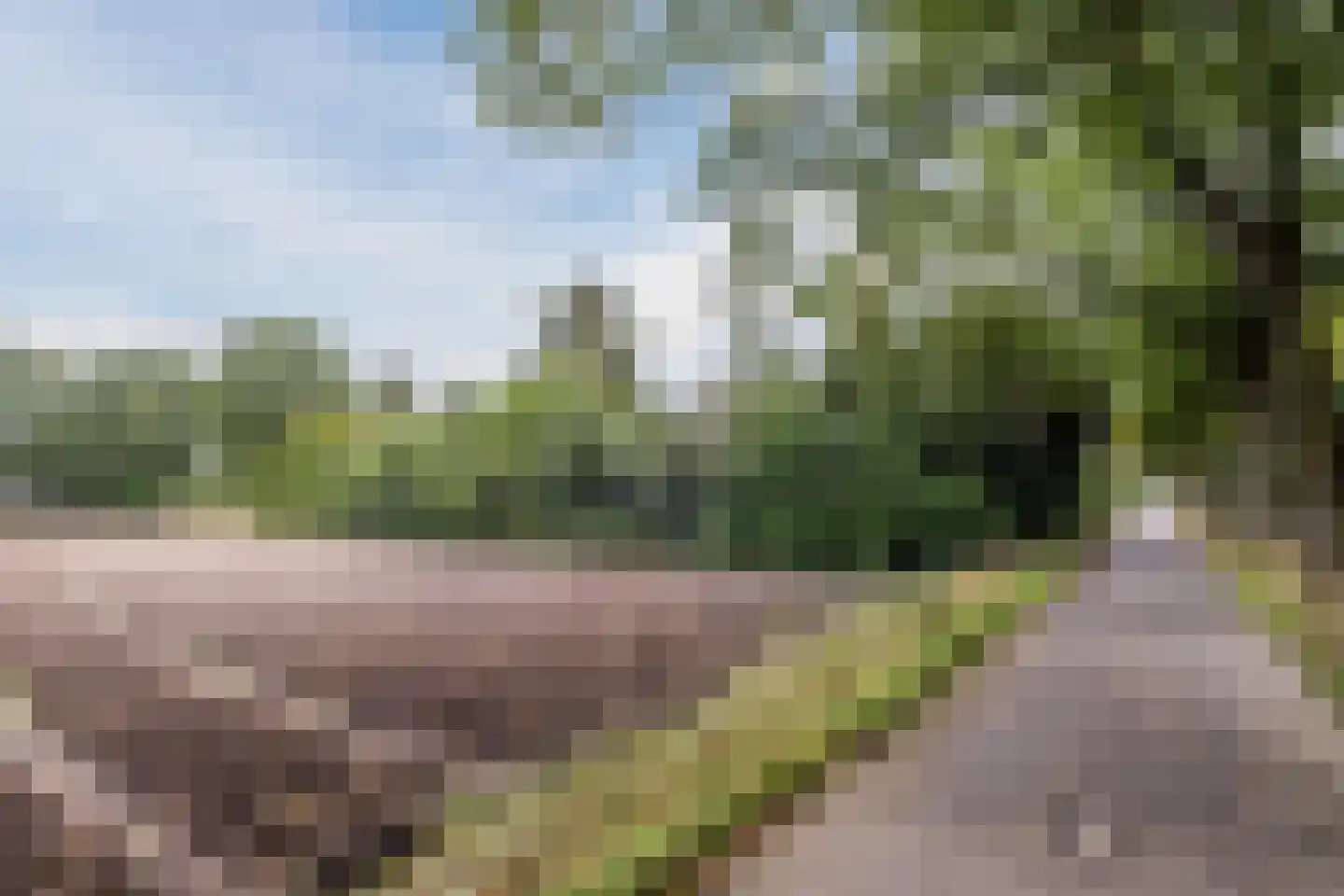 Broeder Hogardstraat 1 a Boekel thumbnail 28