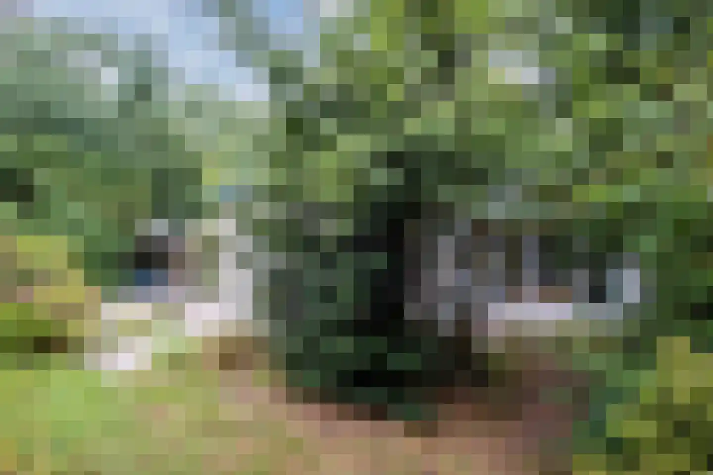 Broeder Hogardstraat 1 a Boekel thumbnail 6