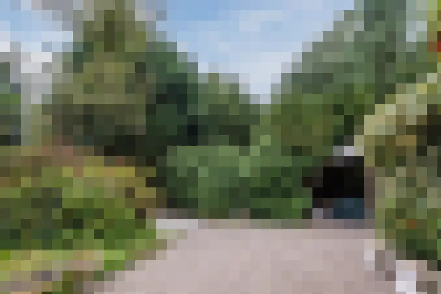 Broeder Hogardstraat 1 a Boekel thumbnail 8