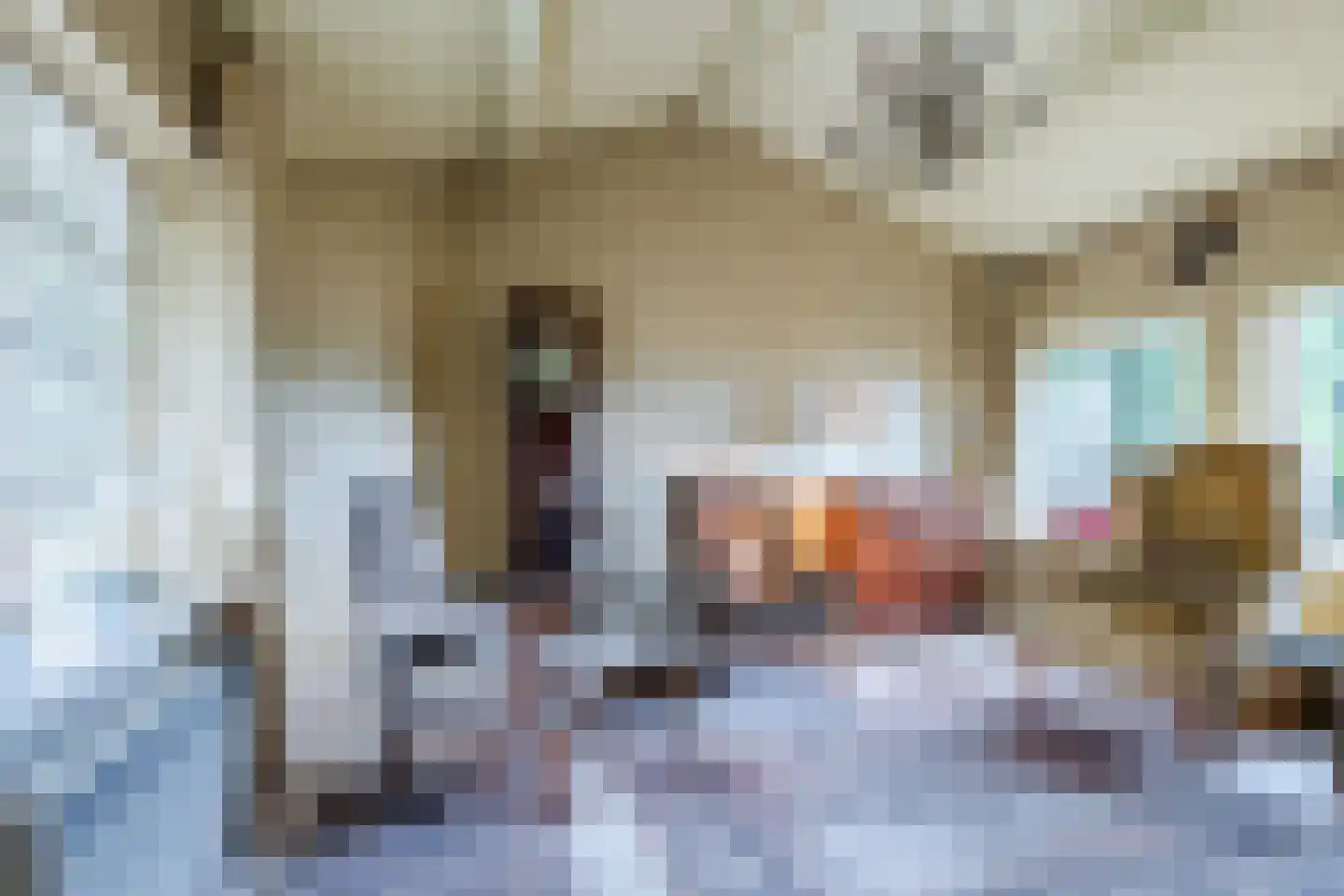 Broeder Hogardstraat 1 a Boekel thumbnail 9