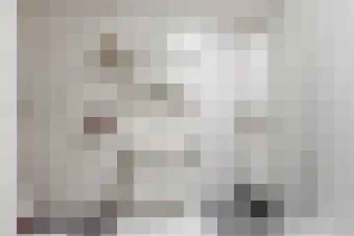 Broeder Josephlaan 16 Heemstede thumbnail 20