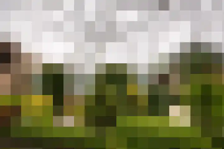 Broeder Josephlaan 16 Heemstede thumbnail 31