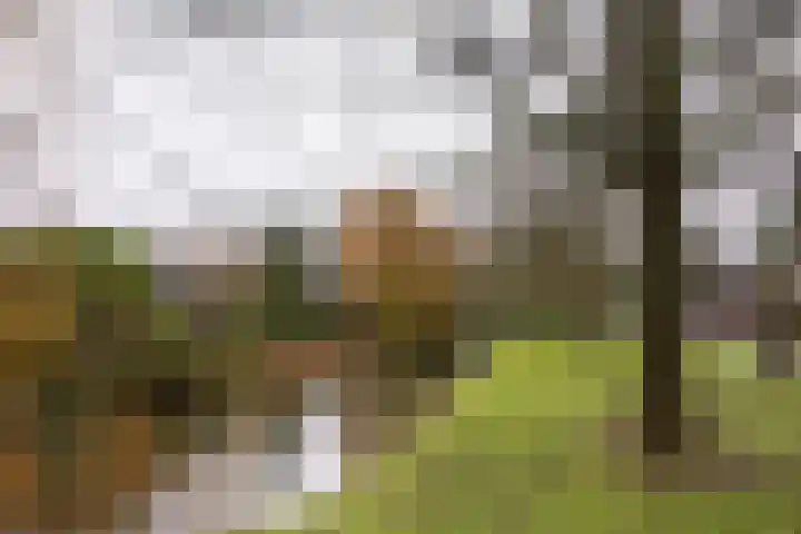 Broeder Josephlaan 16 Heemstede thumbnail 32