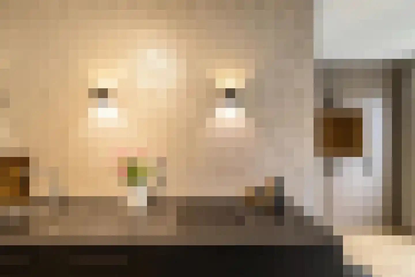 Broeder Silvesterlaan 11 Nooitgedacht thumbnail 20