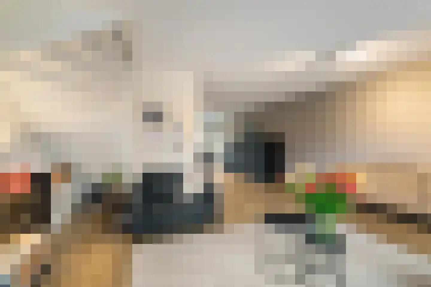 Broeder Silvesterlaan 11 Nooitgedacht thumbnail 22