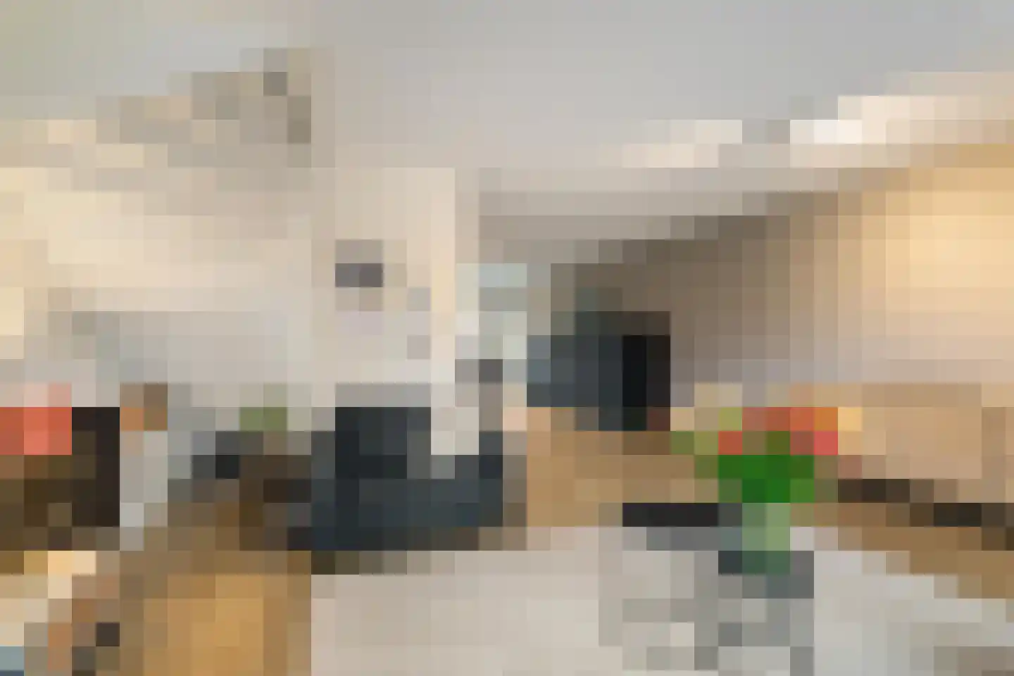 Broeder Silvesterlaan 11 Nooitgedacht thumbnail 4