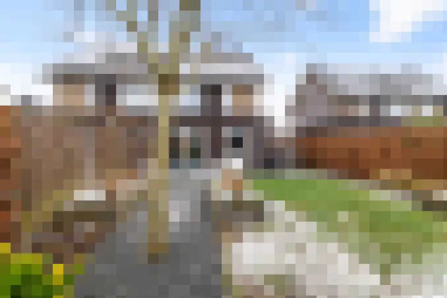 Broeder Silvesterlaan 11 Nooitgedacht thumbnail 47