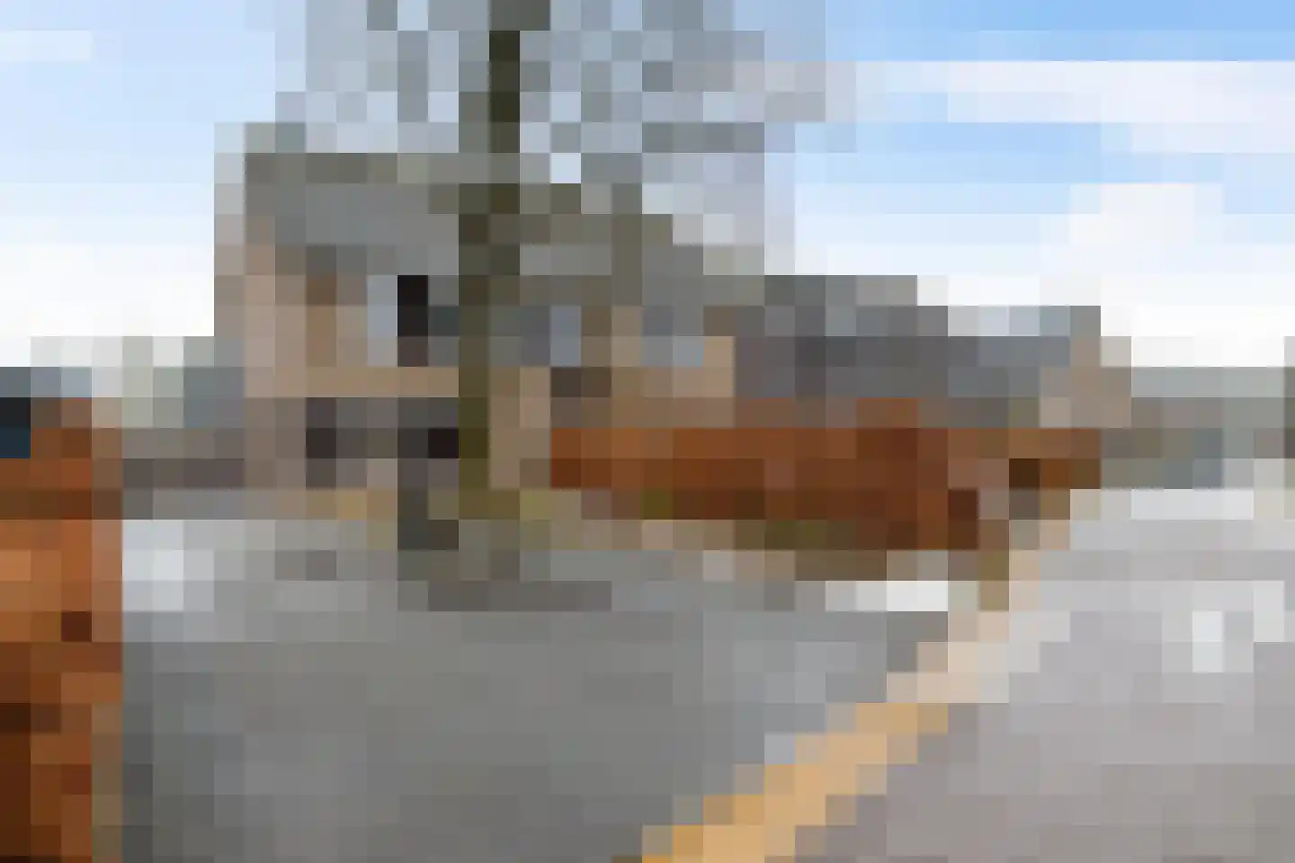 Broeder Silvesterlaan 11 Nooitgedacht thumbnail 7