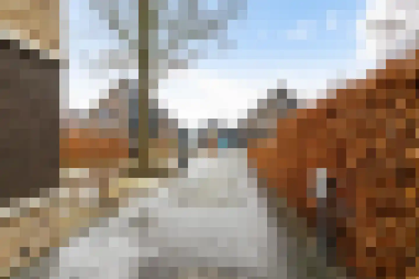 Broeder Silvesterlaan 11 Nooitgedacht thumbnail 9
