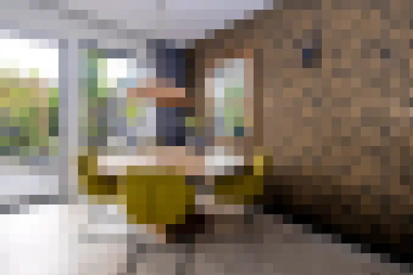 Broeder Silvesterlaan 31 Nooitgedacht thumbnail 28