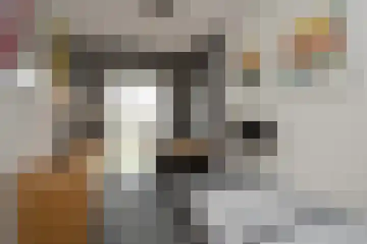 Broeder Silvesterlaan 31 Nooitgedacht thumbnail 29