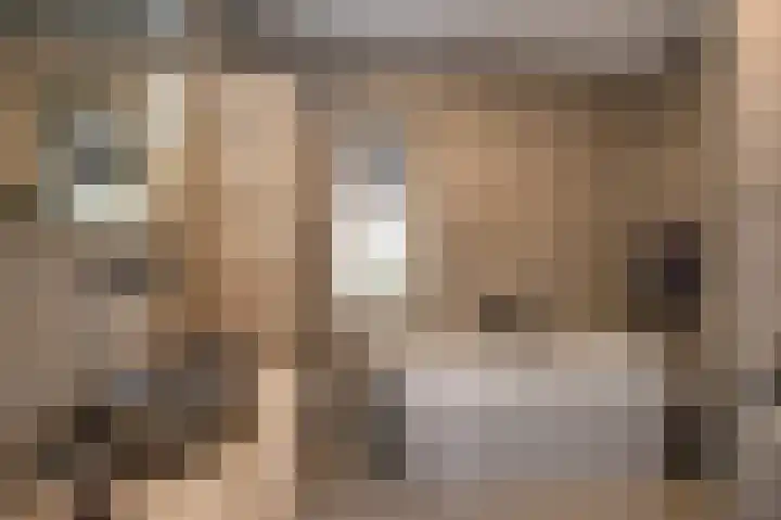 Broeder Silvesterlaan 31 Nooitgedacht thumbnail 32