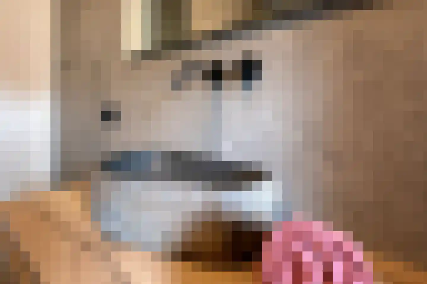 Broeder Silvesterlaan 31 Nooitgedacht thumbnail 36