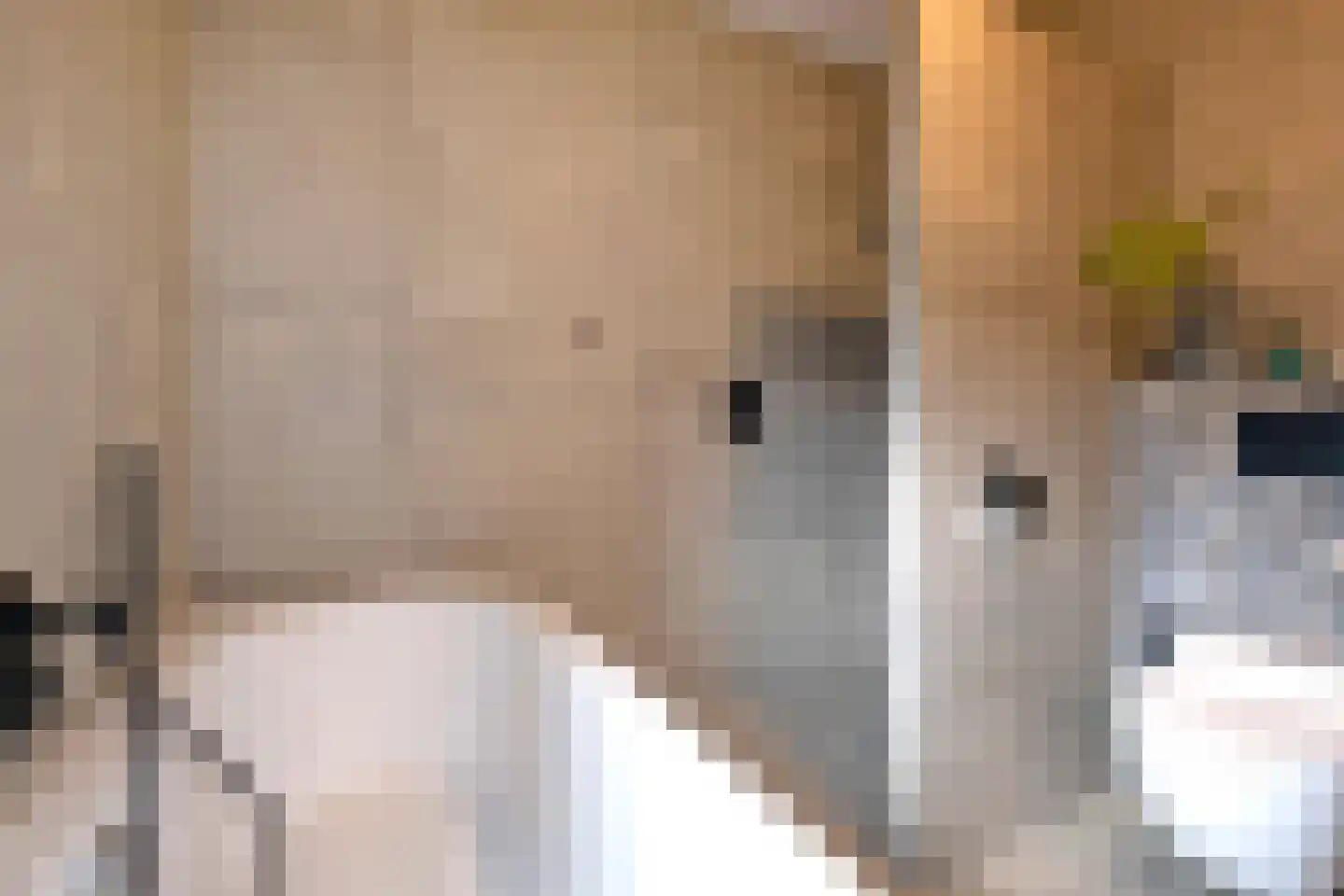 Broeder Silvesterlaan 31 Nooitgedacht thumbnail 37