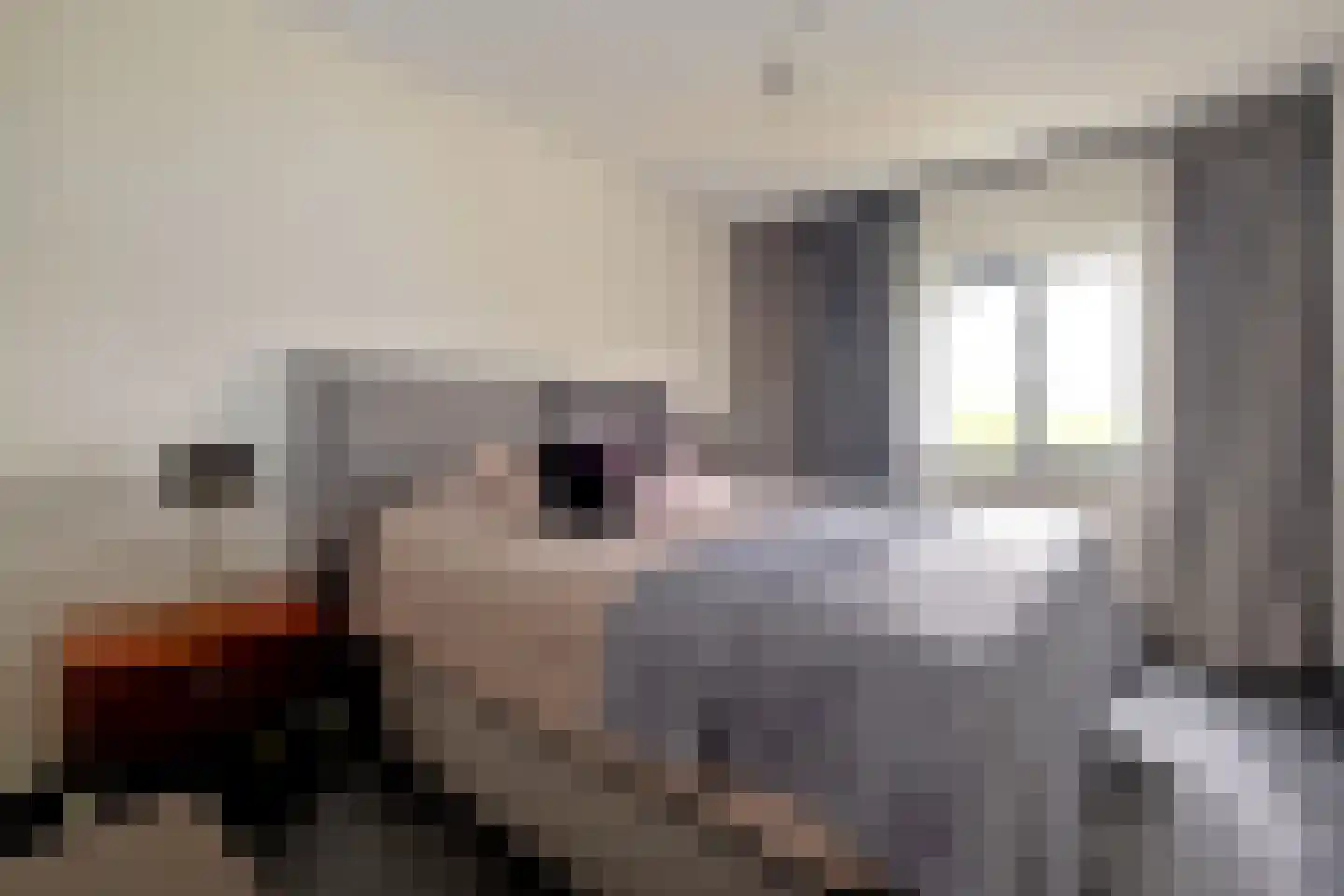 Broeder Silvesterlaan 31 Nooitgedacht thumbnail 39