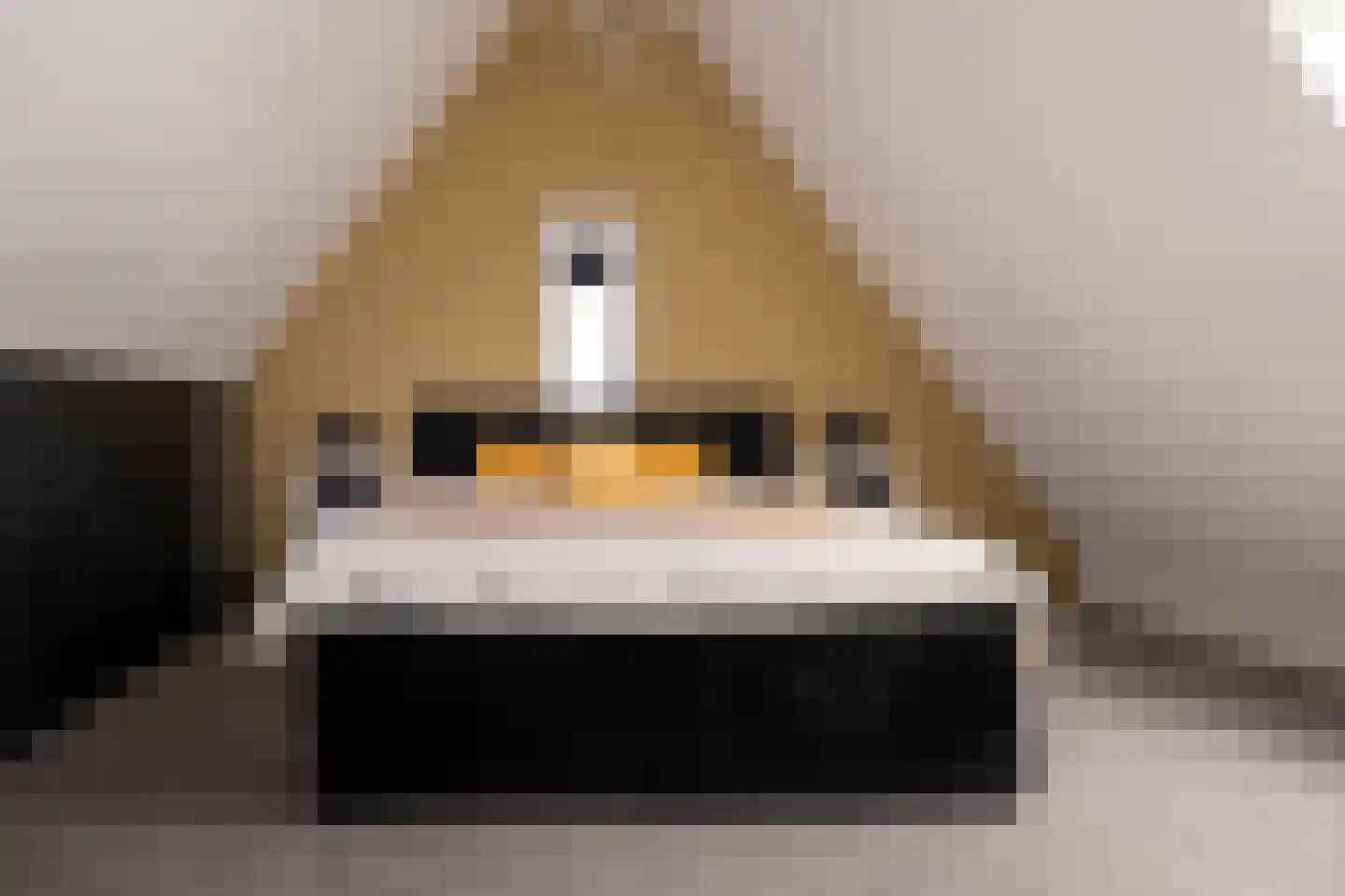 Broeder Silvesterlaan 31 Nooitgedacht thumbnail 47