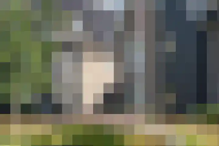 Broeder Silvesterlaan 31 Nooitgedacht thumbnail 53
