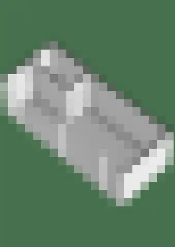 Broeder Silvesterlaan 31 Nooitgedacht thumbnail 63