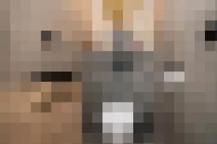 Broeder Silvesterlaan 31 Nooitgedacht thumbnail 9